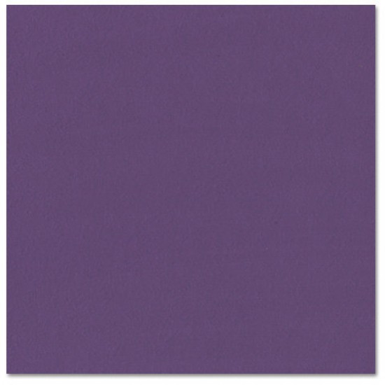 Bazzill classic purple- violet classique 12x12
